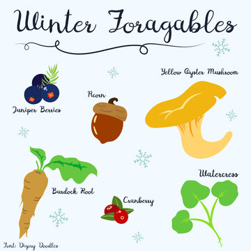6 elementos t&iacute;picos do inverno