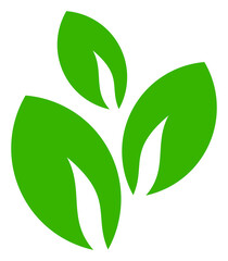 Green tea leaves vector illustration on a white background. An isolated flat icon illustration of green tea leaves.