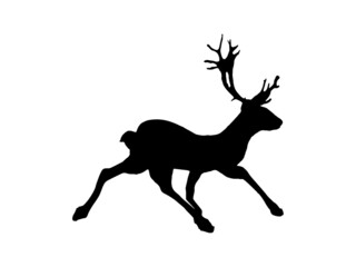 Reindeer silhouette. Black reindeer on a white background. Christmas themes. Graphic Resources.