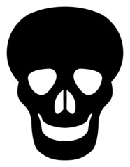 Skull vector icon on a white background. An isolated flat icon illustration of skull.