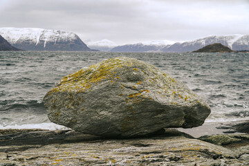 Lonely mossy stone rock in arctic climate landscape. Snow-capped mountains and rough sea. 