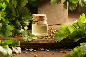 Coriander seed oil in a glass bottle on a rustic wooden background, closeup, copy space, natural...