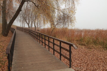 Fototapeta na wymiar wooden bridge in the park in fog