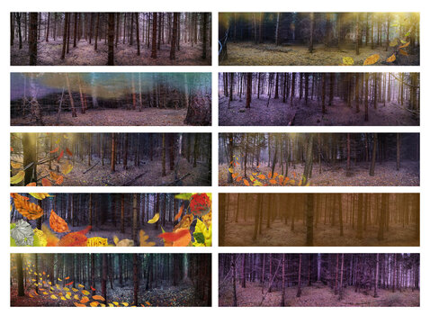 Wide banners of nature misty fall landscape with orange falling autumn leaves. Panoramic banners collage