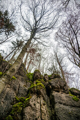Trees in autumn colors and rocks on the Höhlenweg near Plech, Franconian Switzerland, Bavaria, Germany