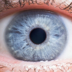 Human eye close up detail