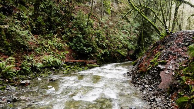 River 