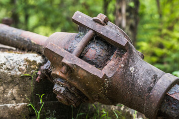Mining relics at the historical mining trail of Karangahake gorge