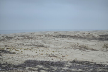 Atmospheric view of the dunes and the Baltic Sea in winter.