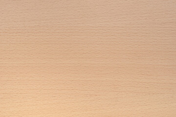 Natural beech veneer wood texture, background pattern.