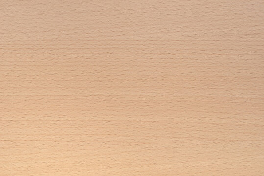 Natural beech veneer wood texture, background pattern.