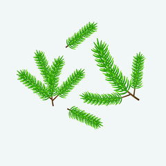 Pine tree branches. Vector Christmas tree isolated 