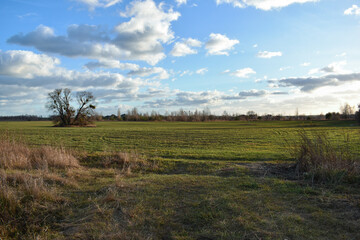 The sown field is colored with different heavenly flowers at sunset.