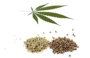 Two heaps of raw hemp seeds and cannabis leaf isolated on white background. Selective focus.