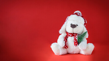 White teddy bear in winter hat and scarf holding small christmas tree on red background. Stock photo banner