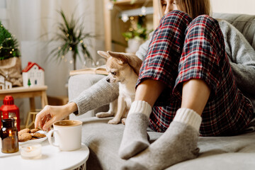 Cozy woman in knitted winter warm socks and sweater and checkered pajama eating cookies with dog,...