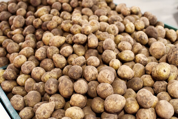 Raw potatoes in boxes on the counter in a hypermarket.