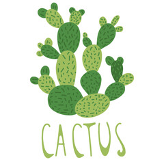 Hand drawn cactus, doodle style, isolated on a white background. Vector illustration