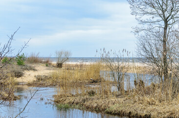 A small river flows through the sand dunes and flows into the Baltic Sea in Latvia.