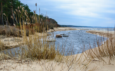 A small river flows into the Baltic Sea in Latvia.