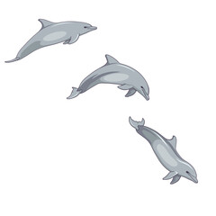Jumping and diving of Bottlenose dolphin in dynamic on white isolated background, set of Delphinidae in Cartoon design style, concept of Ocean life and Aquatic Animals, Nature and Wildlife. © IULIIA