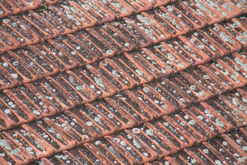 Traditional terra cotta red tile roof, moss on roof, retro, vintage