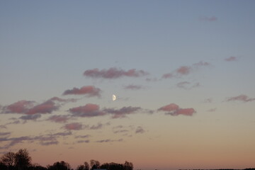 paraglider in the sky