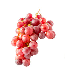 Branch of pink grapes isolated on white background.