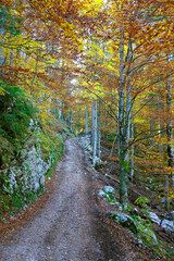 Fall colours in Triglav National Park, Slovenja, Europe 