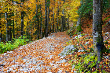 Alpine autumn landscape on Seven Lakes Valley, Triglav National Park, Slovenja 