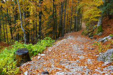 Fall landscape on Seven Lakes Valley, Triglav National Park, Slovenja