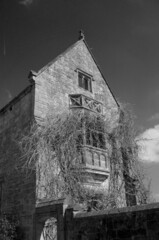 Black and White moody English house and gardens