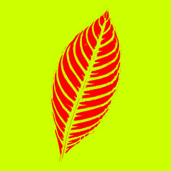 red leaf isolated on yellow background