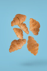 Freshly baked croissants flying in the air isolated on a bright blue background.