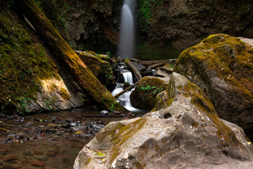 La bella soledad de la naturaleza.