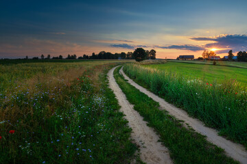 Fototapeta premium Summer landscape with country road and fields of wheat. Masuria, Poland. HDR image