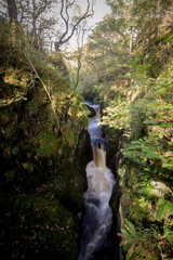Ingleton Waterfall