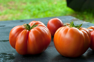 delicious and red tomatoes natural