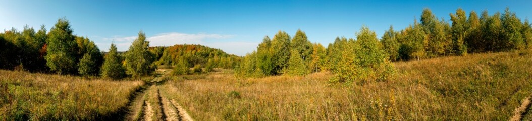 Panorama of autumn tree on a large lawn.