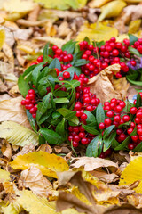 Autumn decor. Viburnum leaves and berries wreath