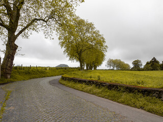 Fototapeta na wymiar Traditional ancient old road in path surrounded by trees, green grass fields and trees in countryside of azores island, açores, portugal