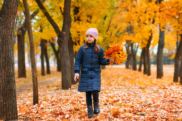 Portrait of a child girl walking in autumn city park. Beautiful nature, trees with yellow leaves.