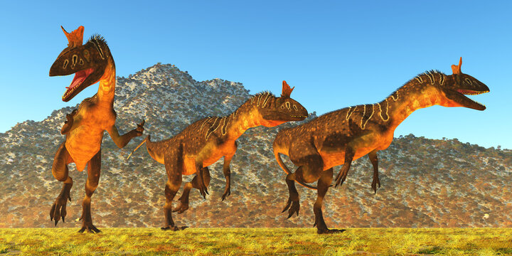 Cryolophosaurus Dinosaurs - Cryolophosaurus dinosaurs hunt together for prey in Antarctica during the Jurassic Period.