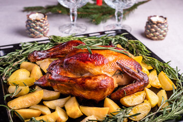 Roasted poultry chicken or turkey with potato and rosemary on black tray on festive christmas or thanksgiving dinner table on grey tablecloth with candles and wineglass