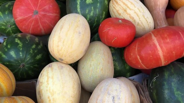 melons and watermelons at the farmer's market