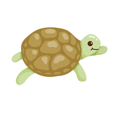 Cartoon little turtle, vector graphics isolated on white background.