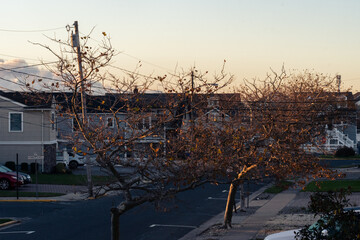 Fototapeta na wymiar Winter leaves and beach houses at sunset on the New Jersey Shore