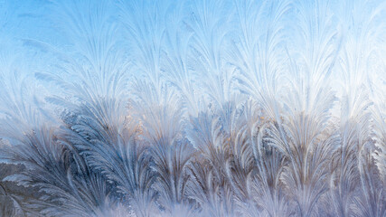Frosty ice patterns on the glass are dendrites, similar to bizarre plants. Winter, Christmas
