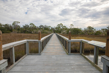 Fototapeta na wymiar An elevated boardwalk over the salt marsh at Fort Mose Historic State Park. 
