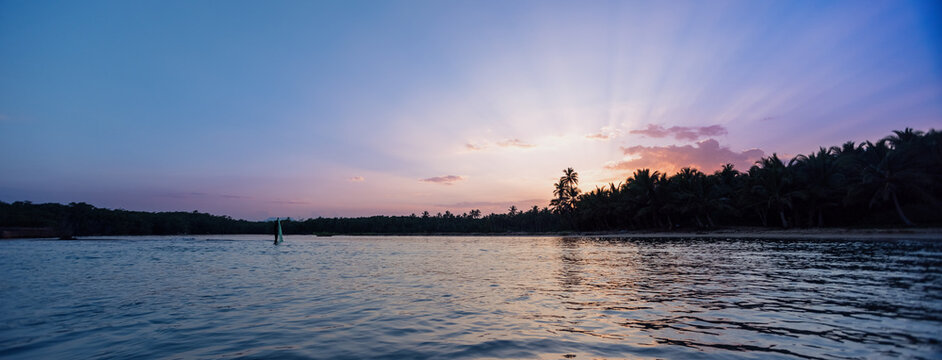 Sunset over palm trees